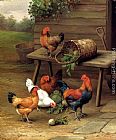 Unknown Chickens art painting